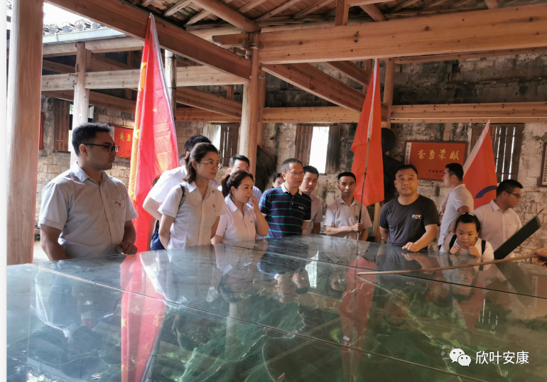 壹号娱乐 - NG大舞台,有梦你就来
