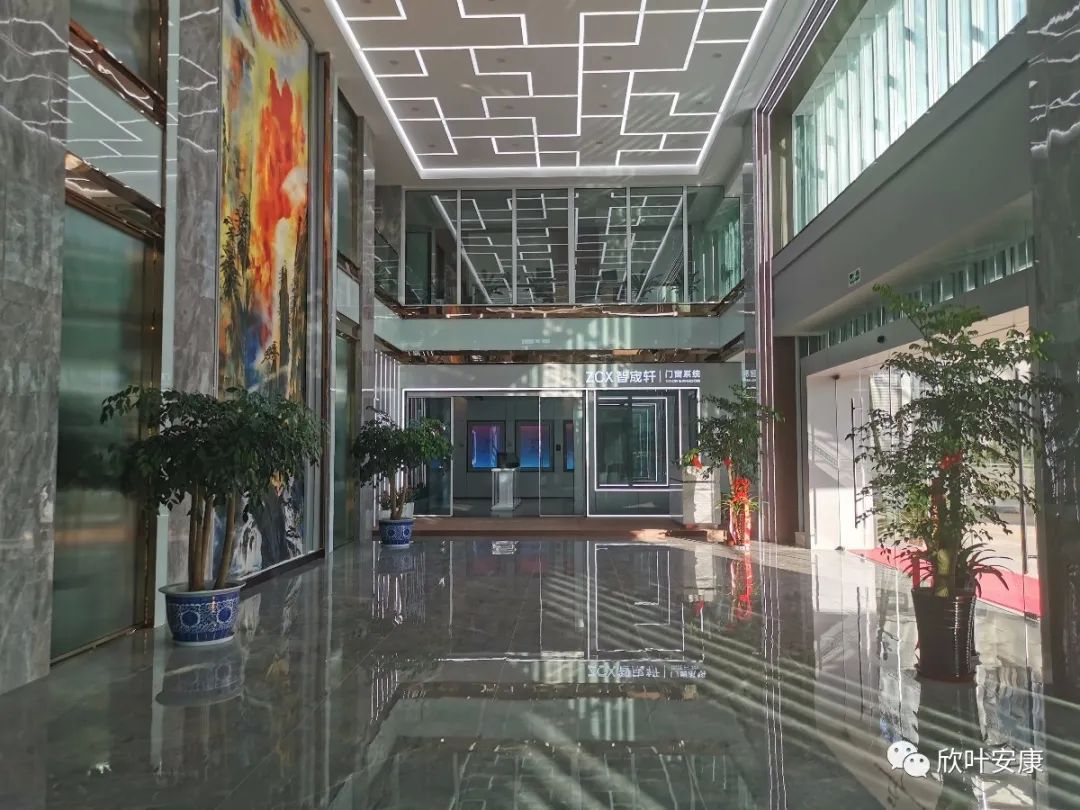 壹号娱乐 - NG大舞台,有梦你就来
